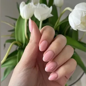 WhatsApp Image 2026-04-08 at 5.58.15 PM (1) 1